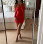 Misha Collection - Sonnet Mesh Mini Dress size xs